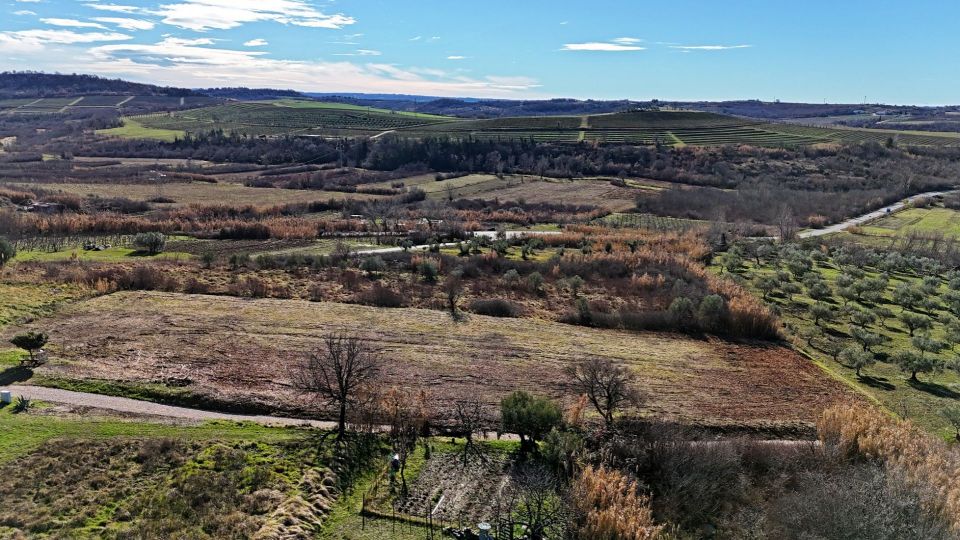 original_1707912814_istra-buje-gradevinsko-zemljiste-prodaja-5.jpg