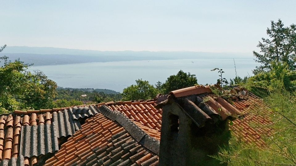 original_1782335696_dji_20260623085701_0033_d.jpg