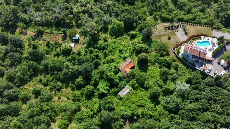 original_1782335700_dji_20260623085908_0041_d.jpg