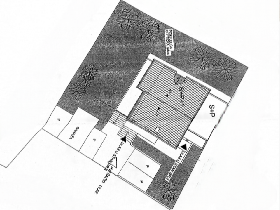 original_1784191676_1.png