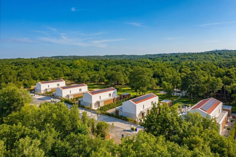 original_1782991303_dji_20260701113652_0262_d.jpg