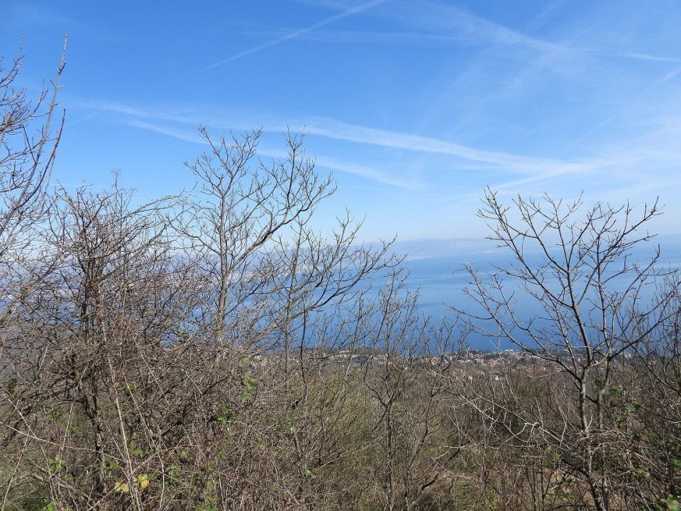 original_1553601278_dscn1010.jpg