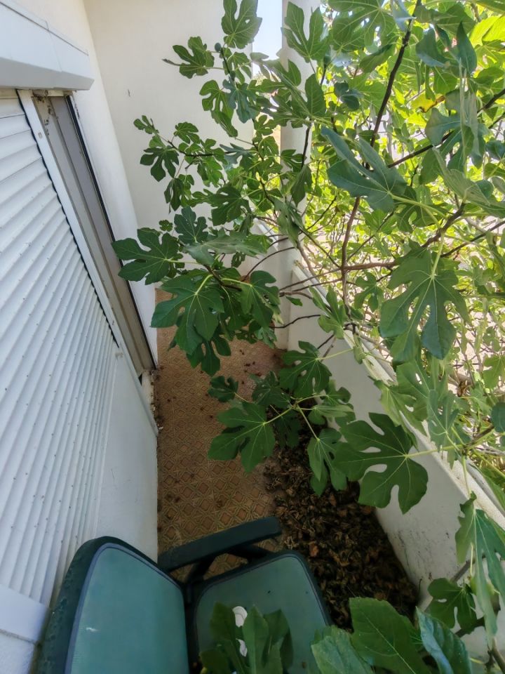 original_1785083137_img_20260716_102025.jpg