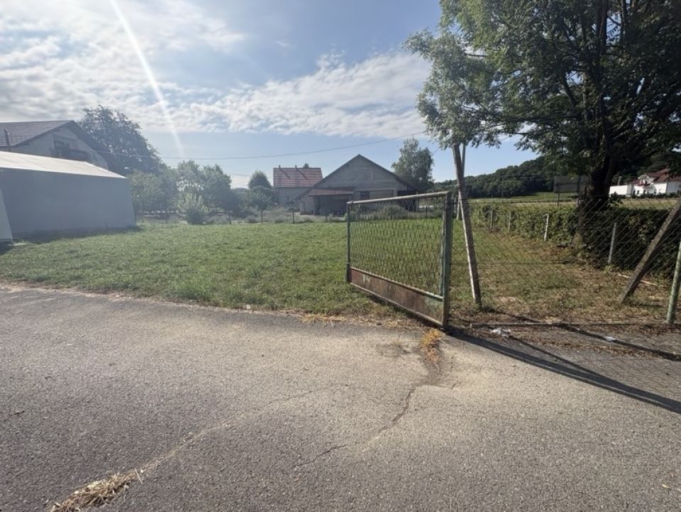 original_1785487305_img_3264.jpeg