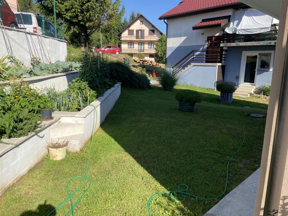 original_1785837763_img_4802.jpeg