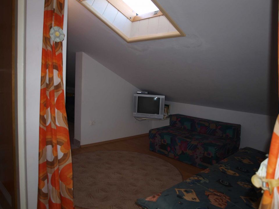 1645076799-p3180029.jpg