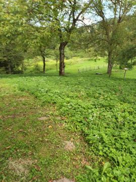 original_1696253339_image1-2.jpeg