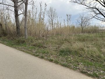 original_1742241068_img_7997.jpg