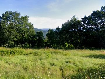original_1743587795_istra-gradevinsko-zemljiste-prodaja-20.jpg