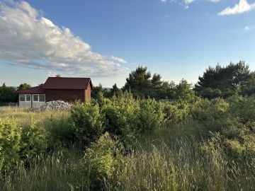 original_1747123445_img_0081.jpg