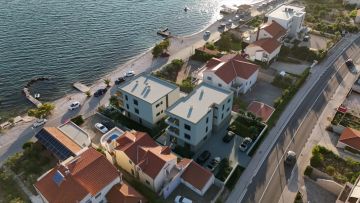 original_1777033121_dalmacija-1.jpg