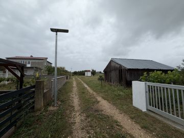 original_1779203744_img_3433.jpg