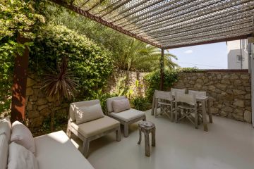 original_1781587249_zeca-5.jpg