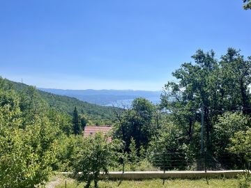 original_1782488250_img_7512.jpg